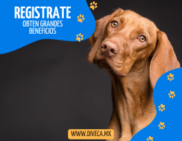 Banner top 1 - layout 2